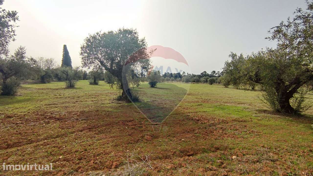 Terreno  para venda - Grande imagem: 5/10
