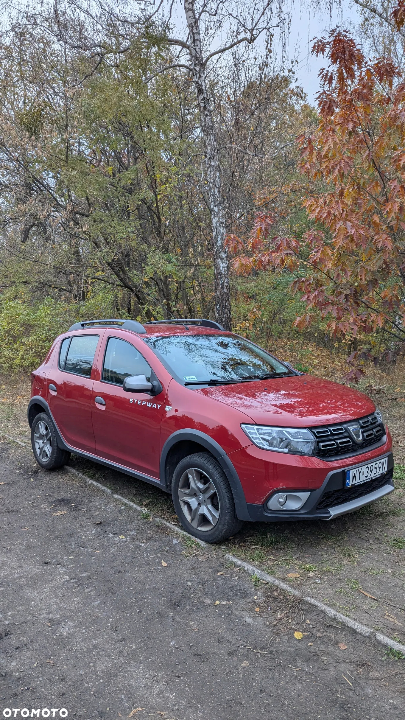 Dacia Sandero Stepway TCe 90 Prestige - 5