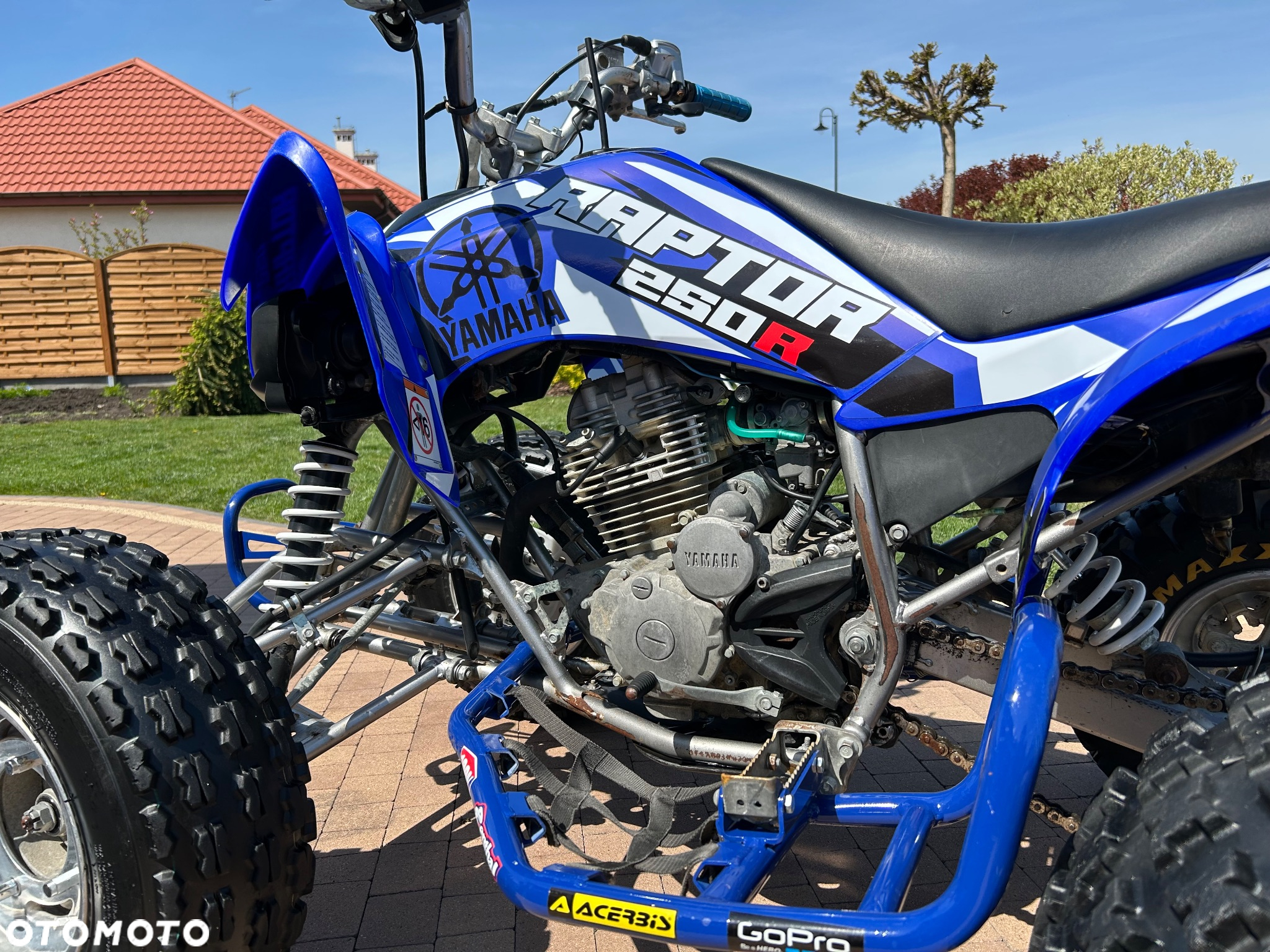 Yamaha Raptor - 11