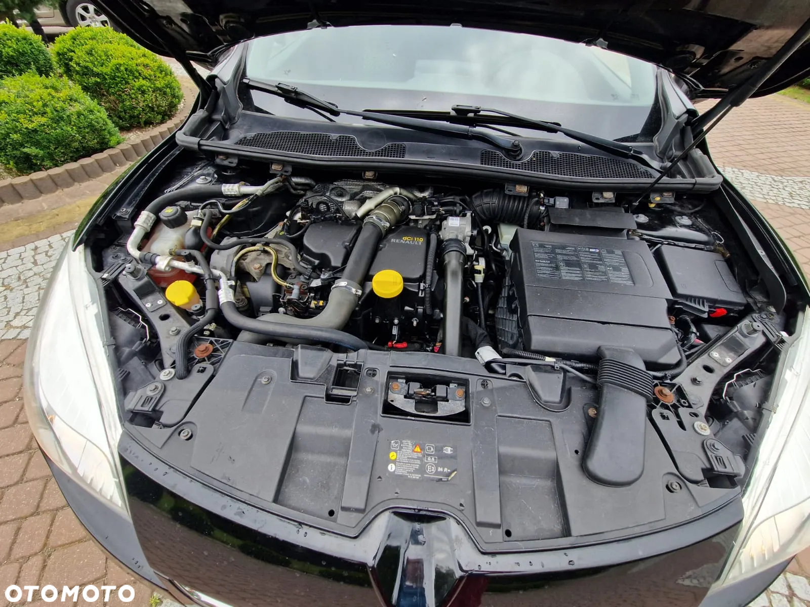 Renault Megane - 22