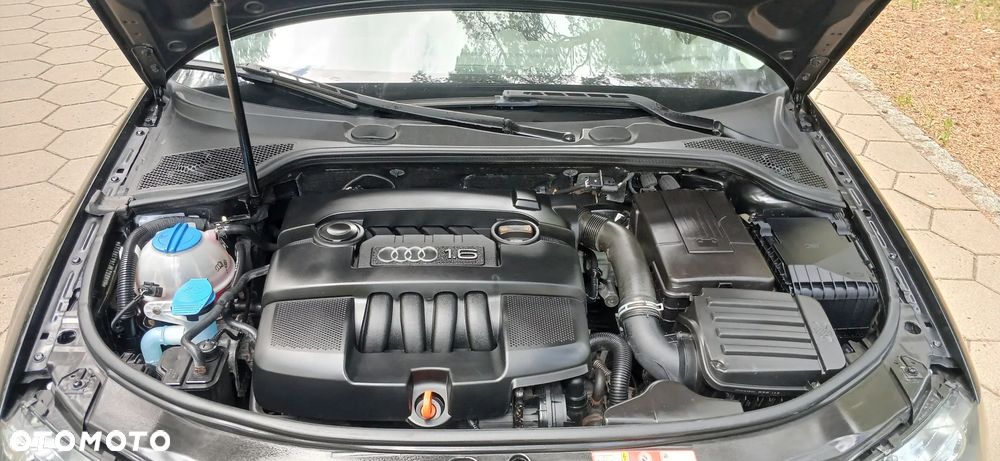 Audi A3 3-drzwiowe 1.6 Attraction - 16