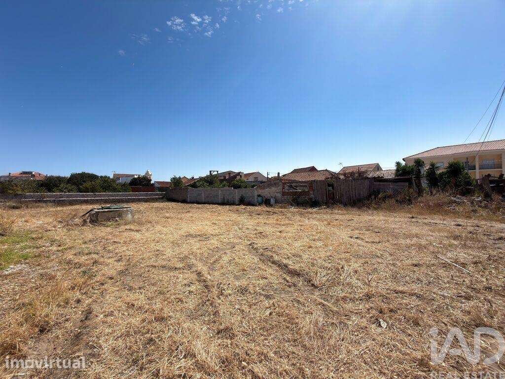 Terreno em Vieira de Leiria - Grande imagem: 4/5