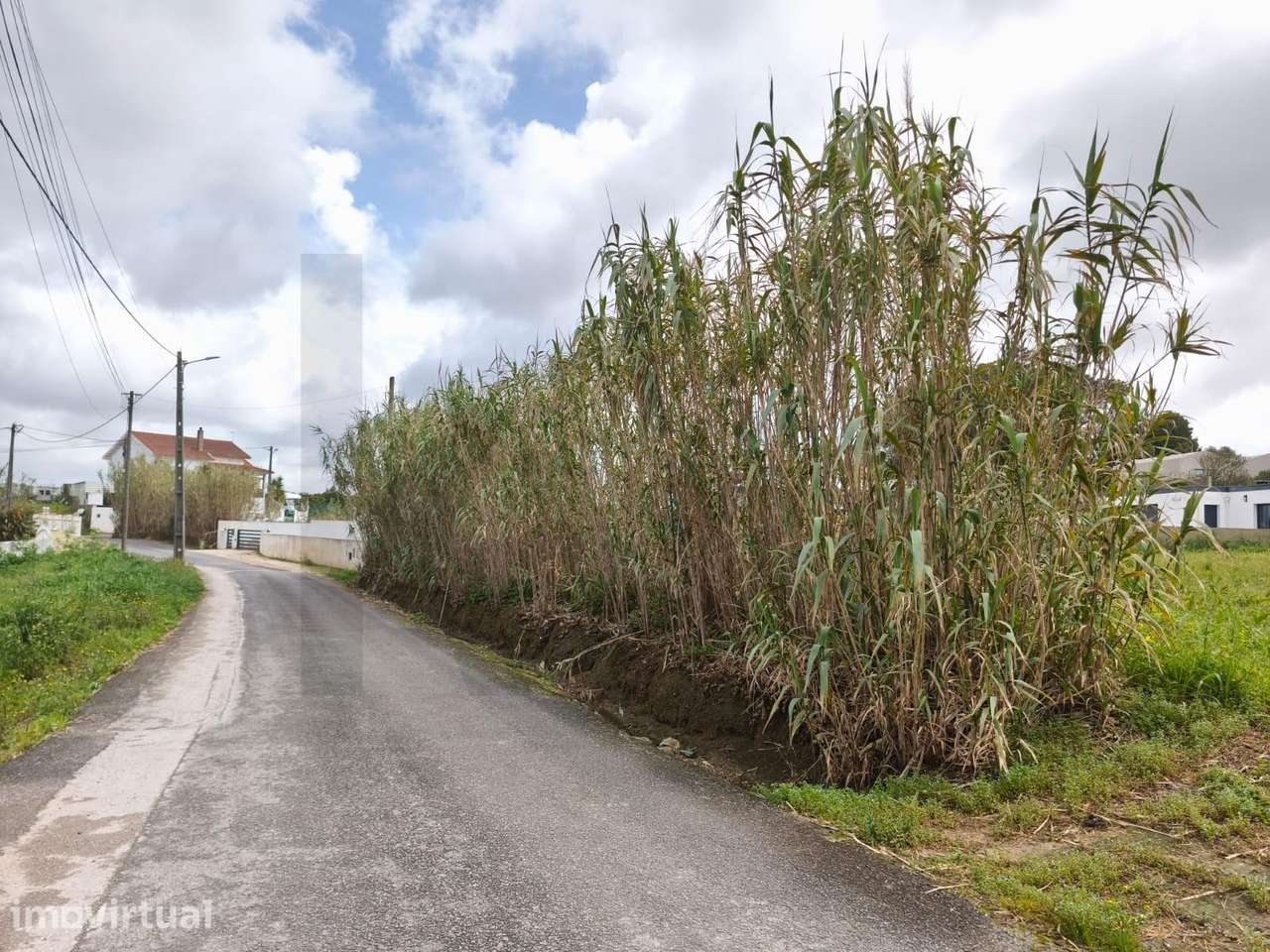 Lote de 2.398m2 na Achada – Mafra - Grande imagem: 5/13