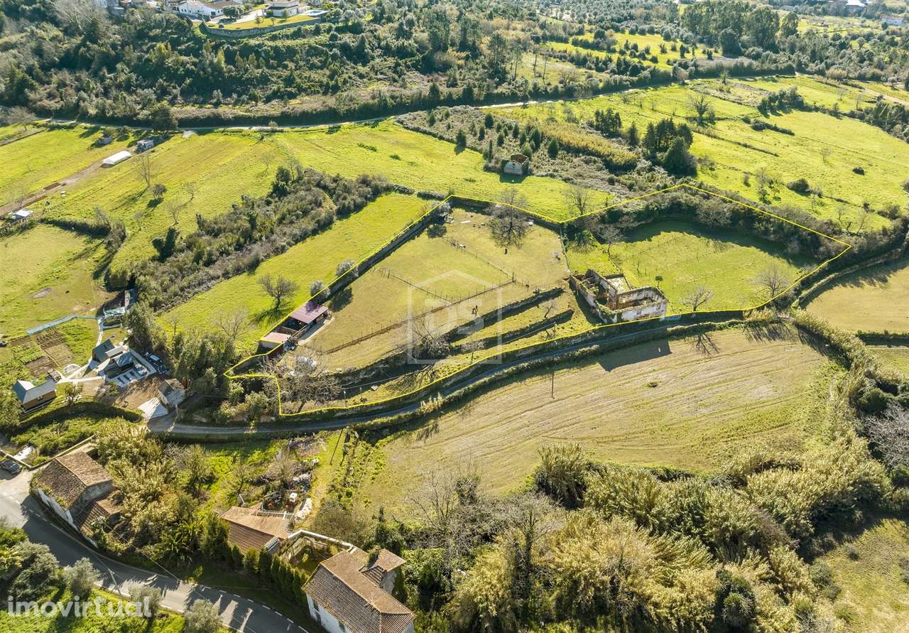 Quinta T5 Venda em Cernache,Coimbra - Grande imagem: 3/30