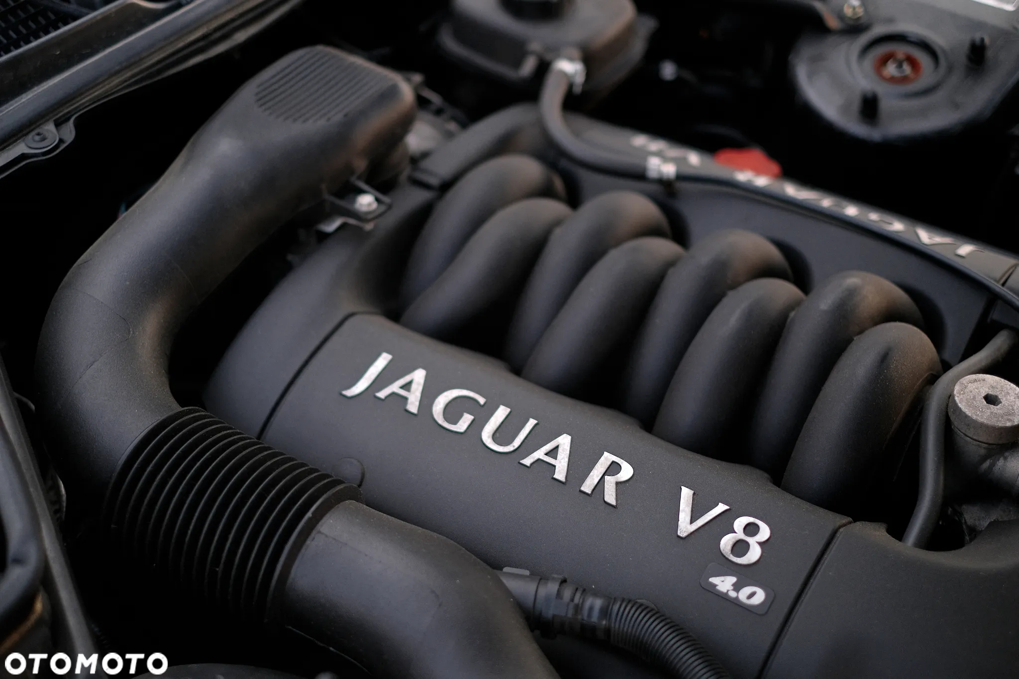 Jaguar XK8 4.0 - 6