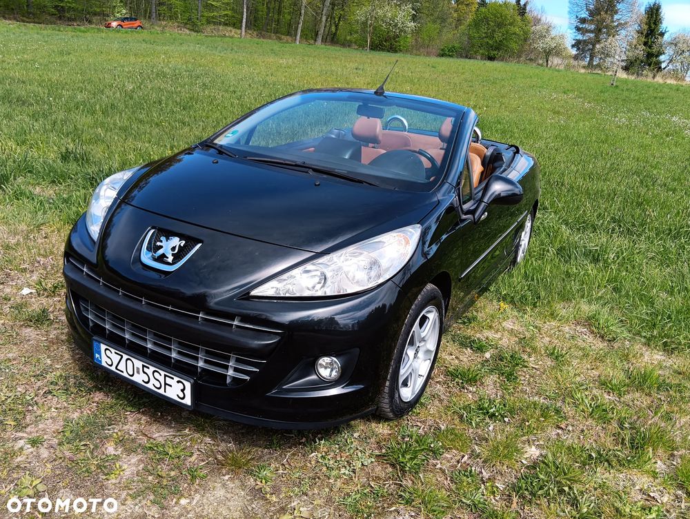 Peugeot 207 - 15