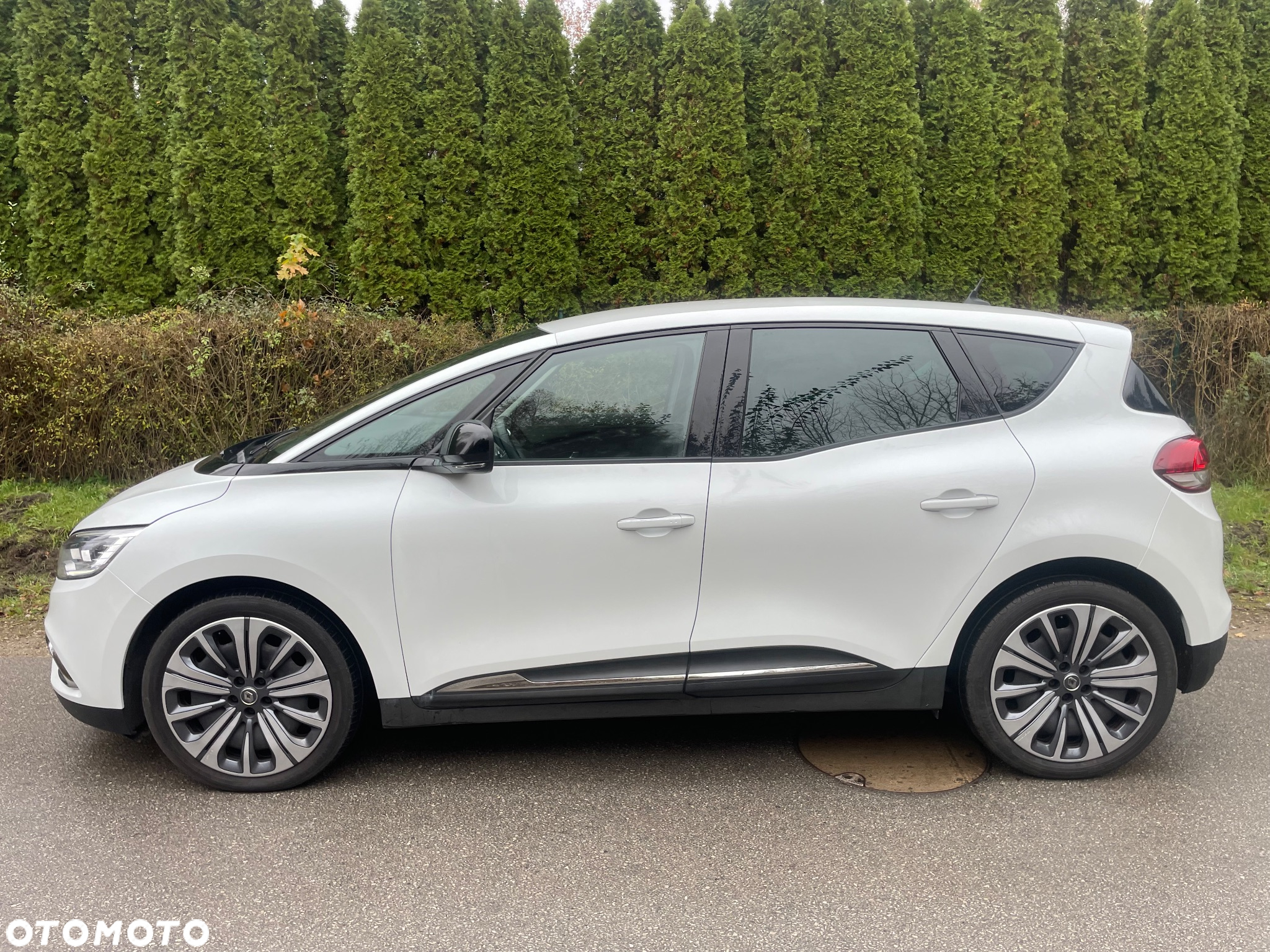 Renault Scenic - 2