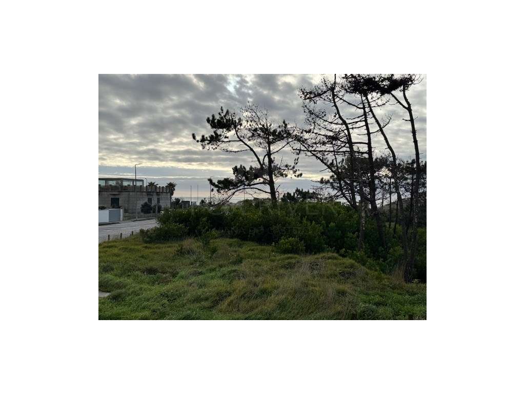 APARTAMENTO T2 + 1 em AMOROSA - CHAFÉ - Grande imagem: 3/23