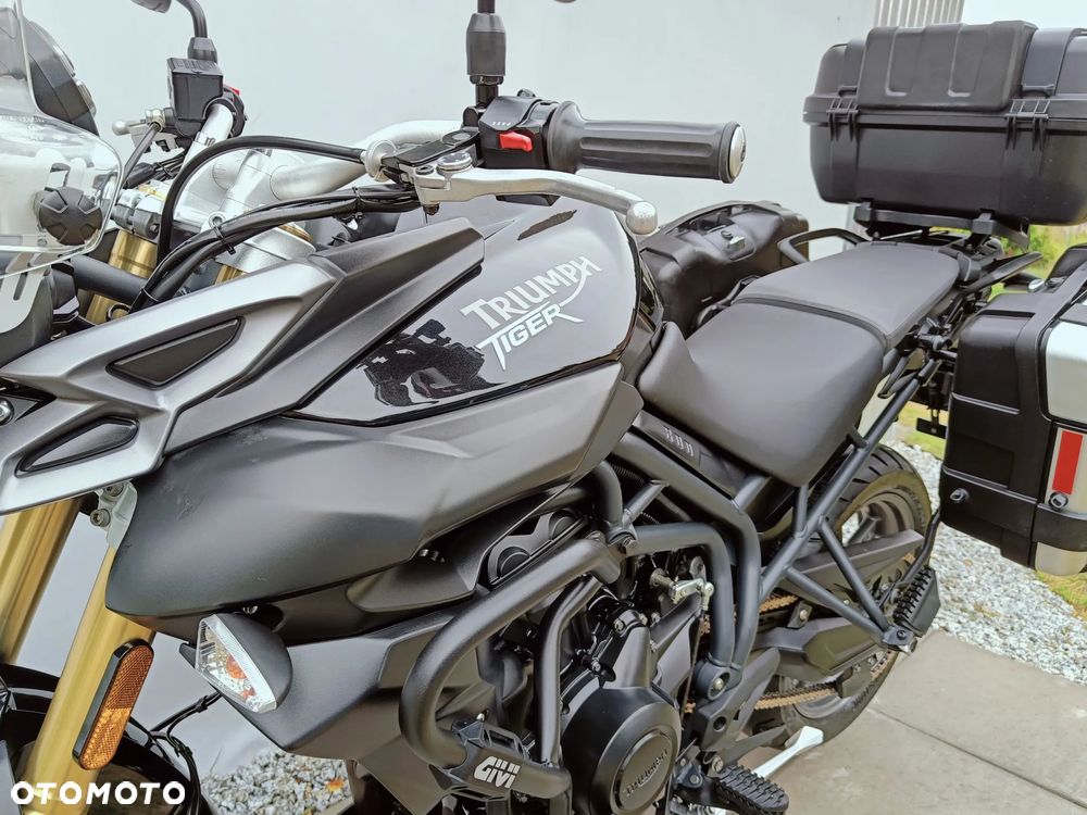 Triumph Tiger - 11