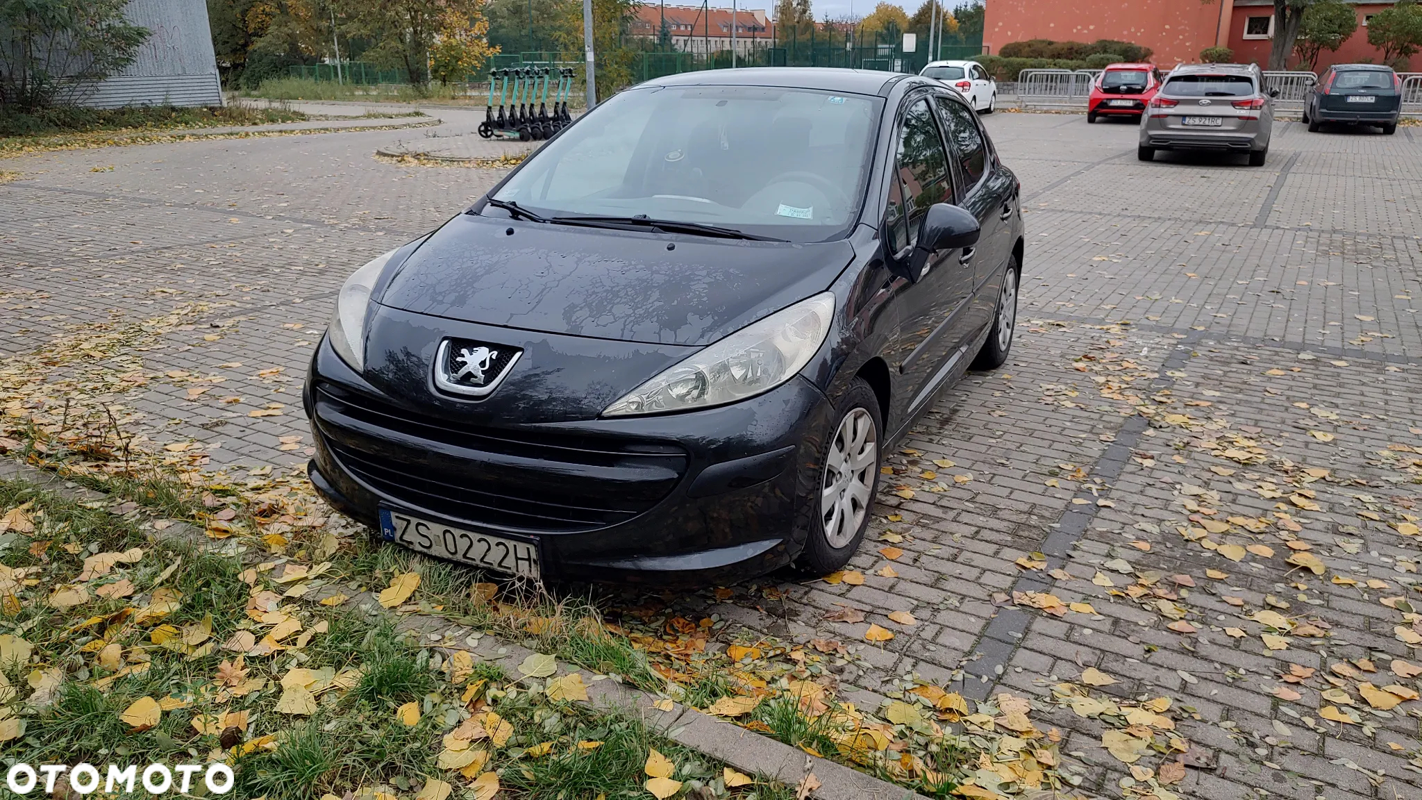 Peugeot 207 - 7