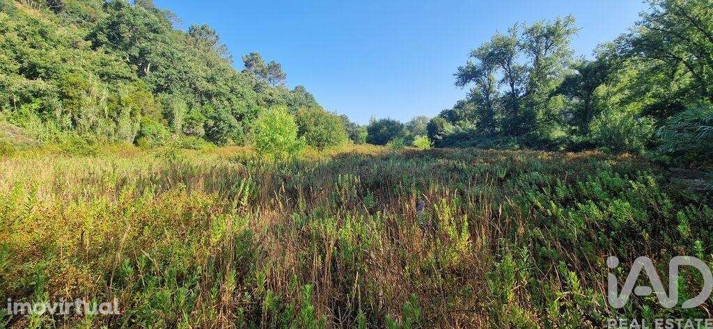Terreno em Azueira e Sobral da Abelheira de 7500,00 m2 - Grande imagem: 3/18