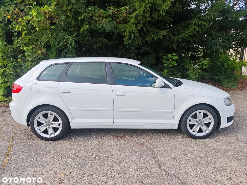 Audi A3 3-drzwiowe 2.0 TDI DPF Attraction - 14