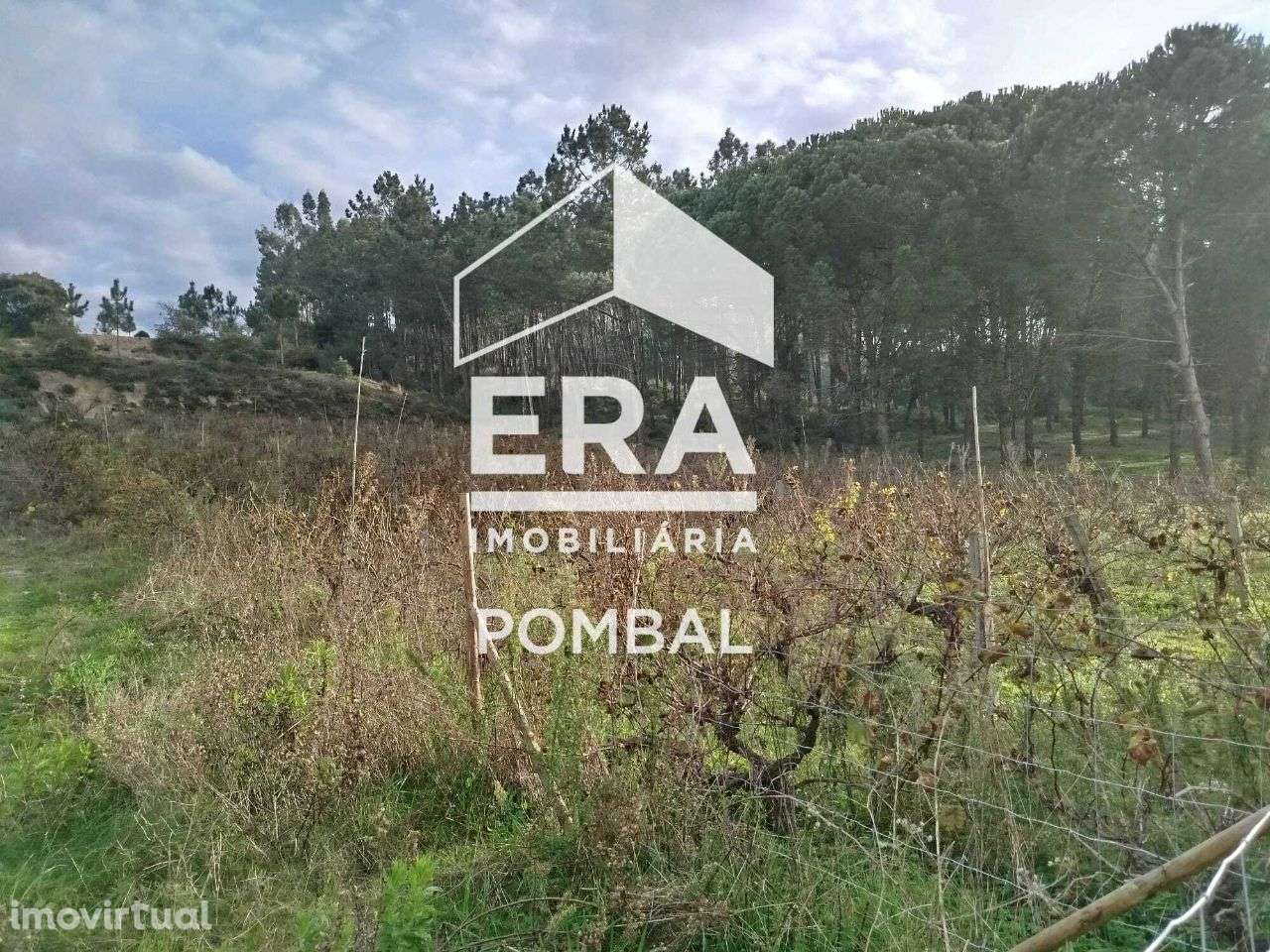 Terreno para construção localizado em Louriçal, Pombal - Grande imagem: 3/5
