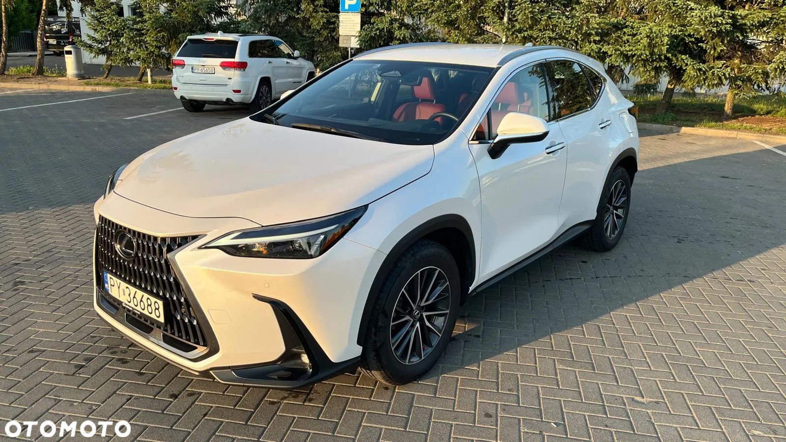Lexus NX 350h Business AWD - 1