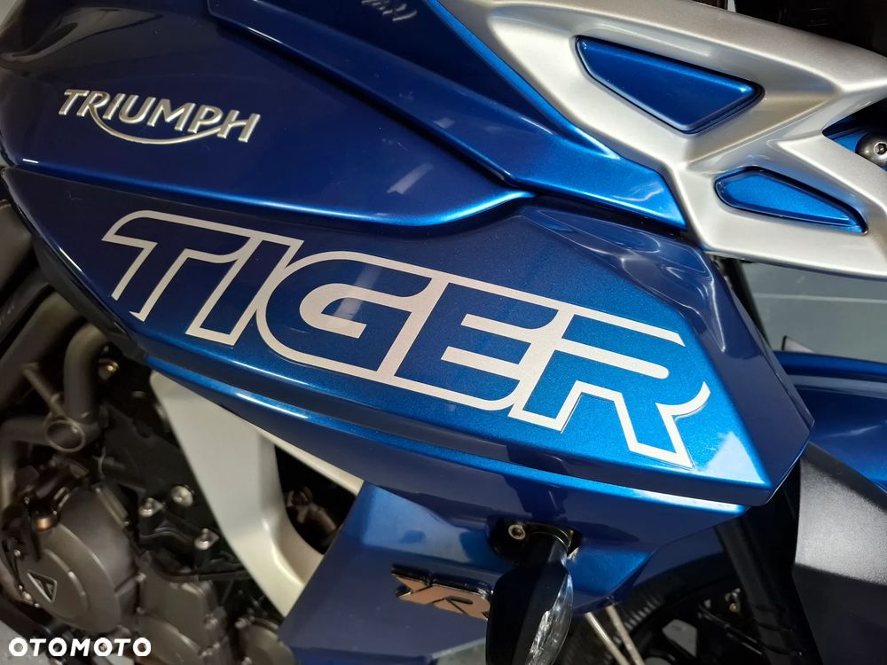 Triumph Tiger - 22