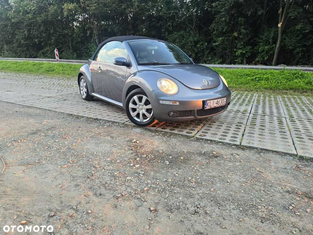 Volkswagen New Beetle - 22