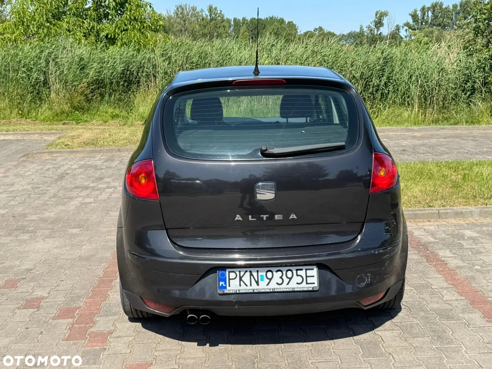 Seat Altea - 7