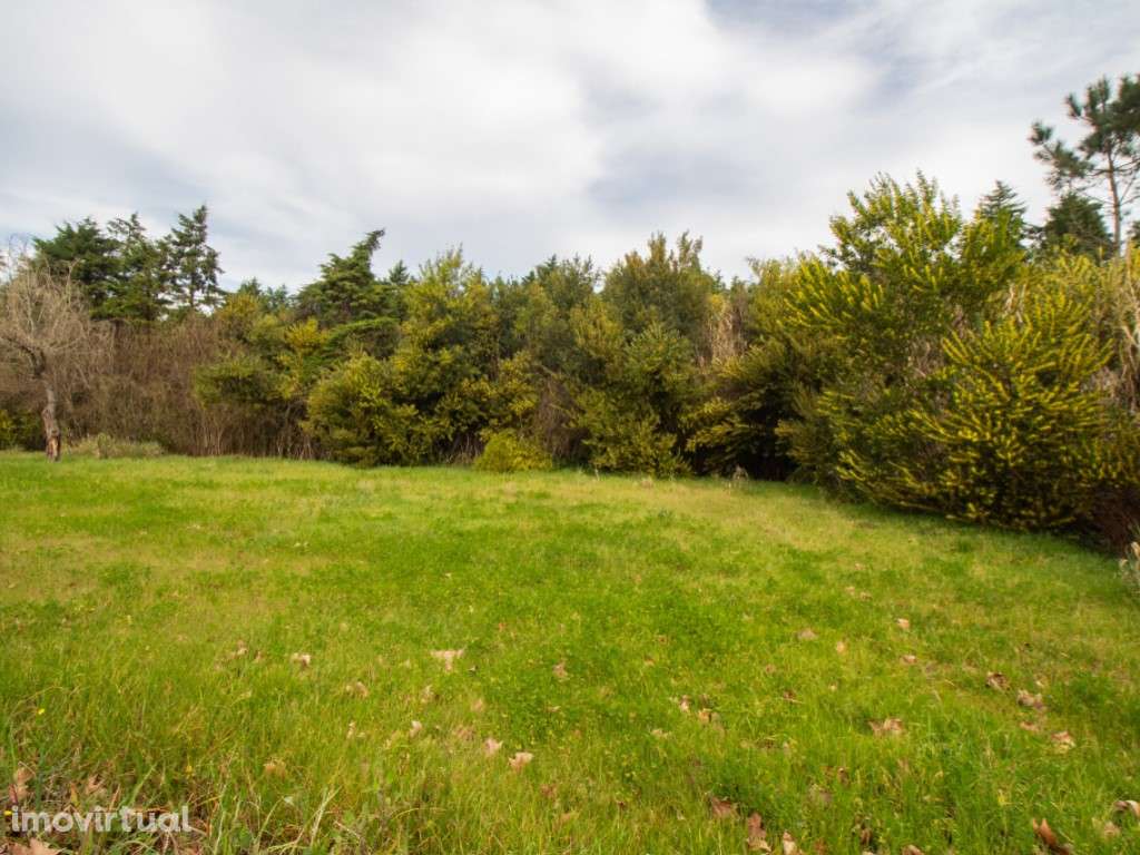 Lote de Terreno - Grande imagem: 5/17