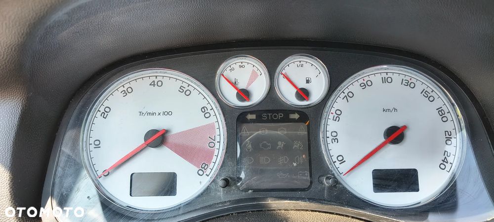 Peugeot 307 1.6 Oxygo - 21