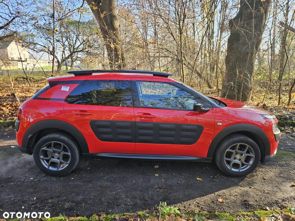 Citroën C4 Cactus PureTech 82 Business Class - 12