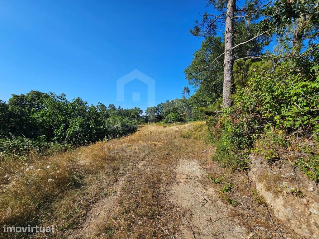 Vende Terreno - Ericeira 30 km, A Casa das Casas - Grande imagem: 5/15