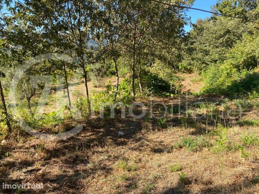 Terreno em Aliviada - Grande imagem: 4/6