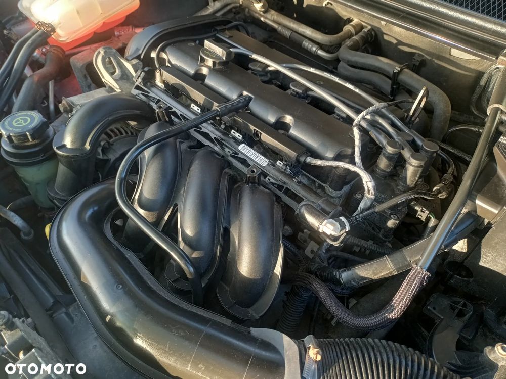 Ford Focus 1.6 Amber X - 18