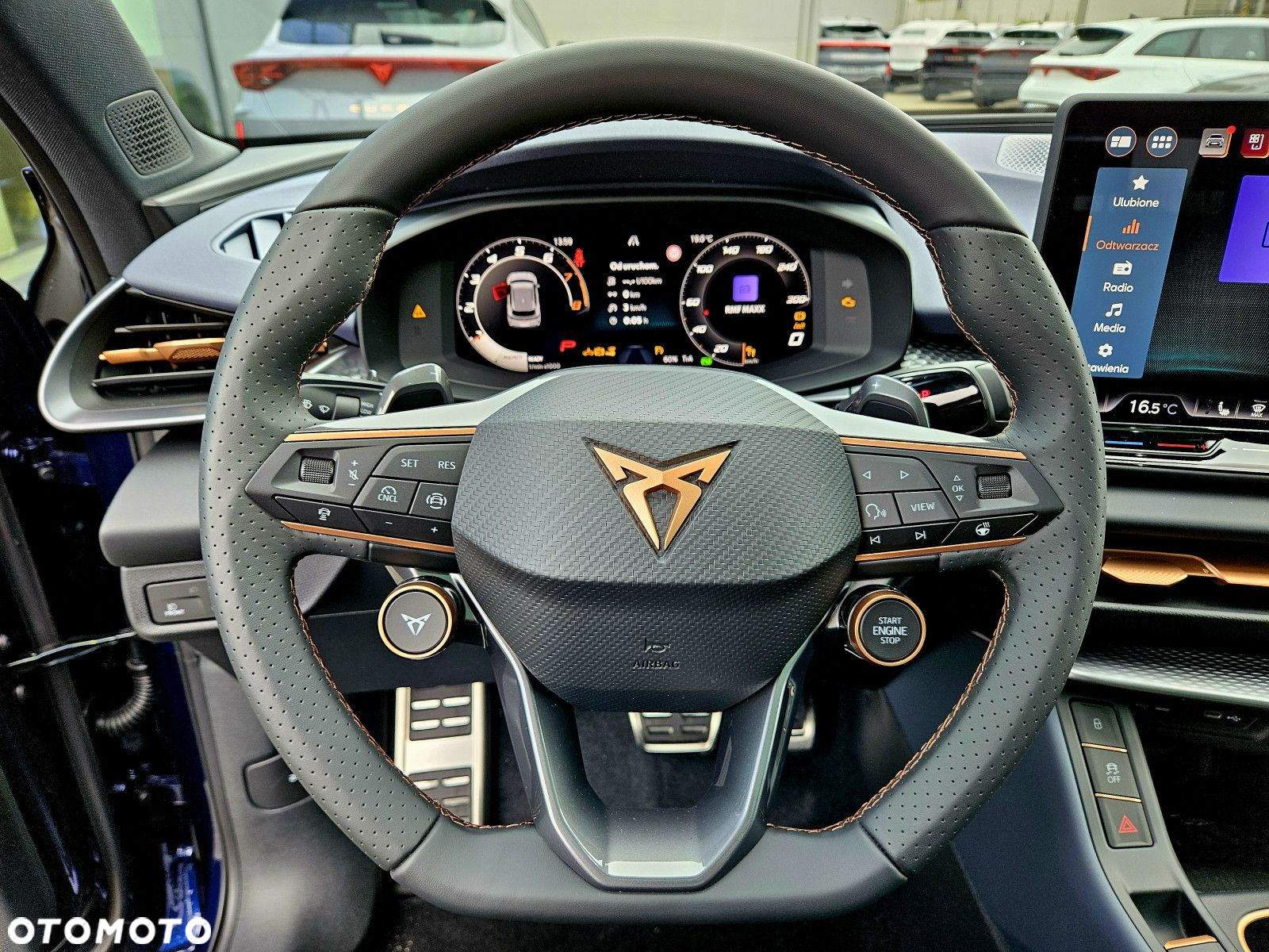 Cupra Terramar - 15