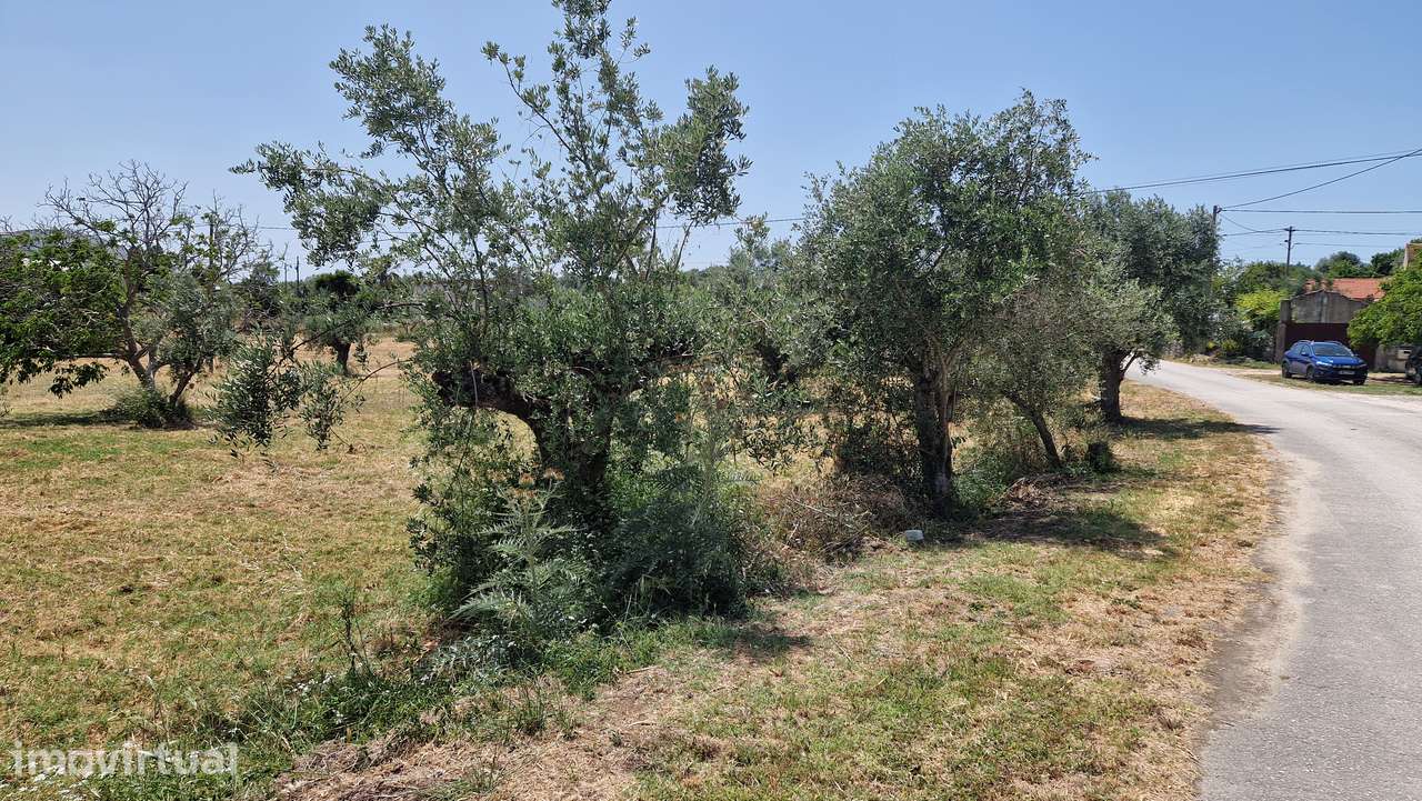 Terreno para venda em Casal da Estrada, Torres Novas - Grande imagem: 2/12
