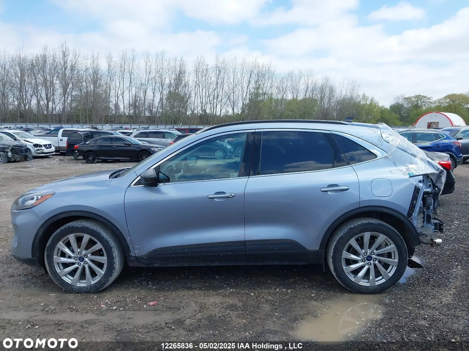 Ford Escape - 6