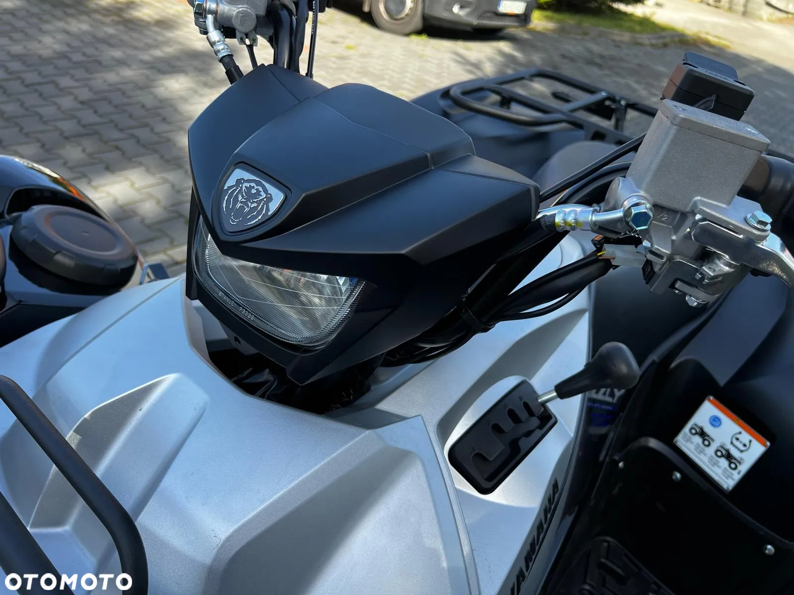 Yamaha Grizzly - 9