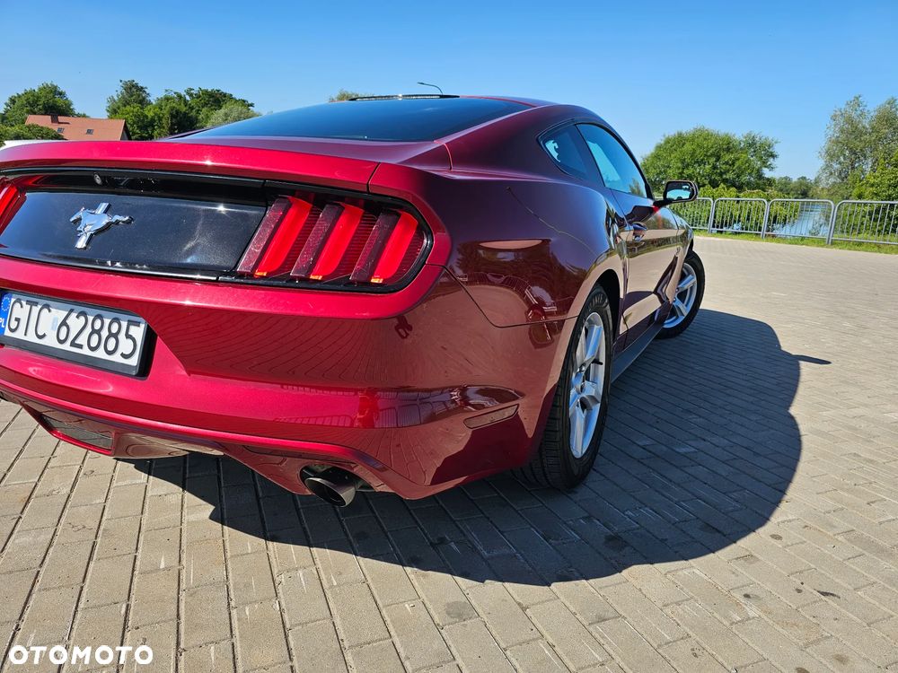 Ford Mustang 3.7 V6 - 7