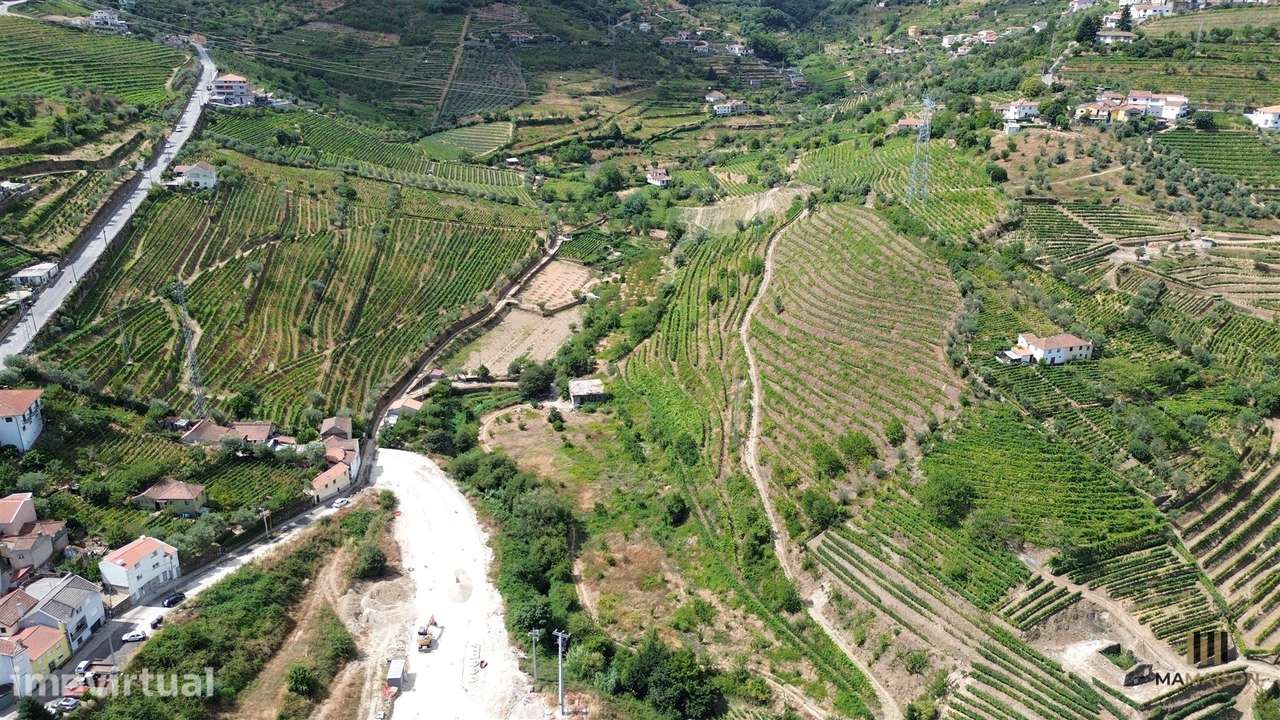 QUINTA DAS LAMAS | + DE 2 HECTARES | DOURO - Grande imagem: 4/8