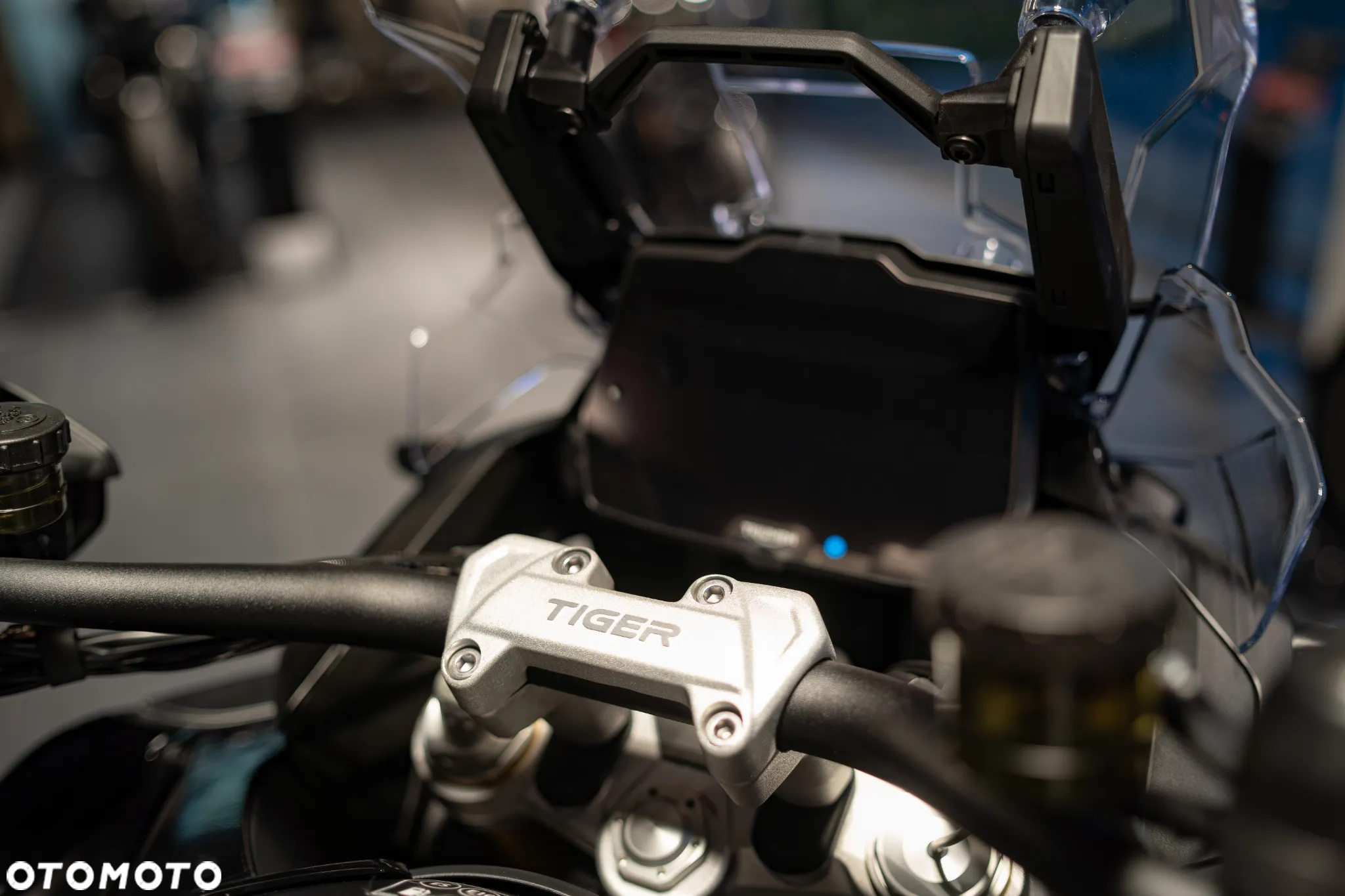 Triumph Tiger - 14