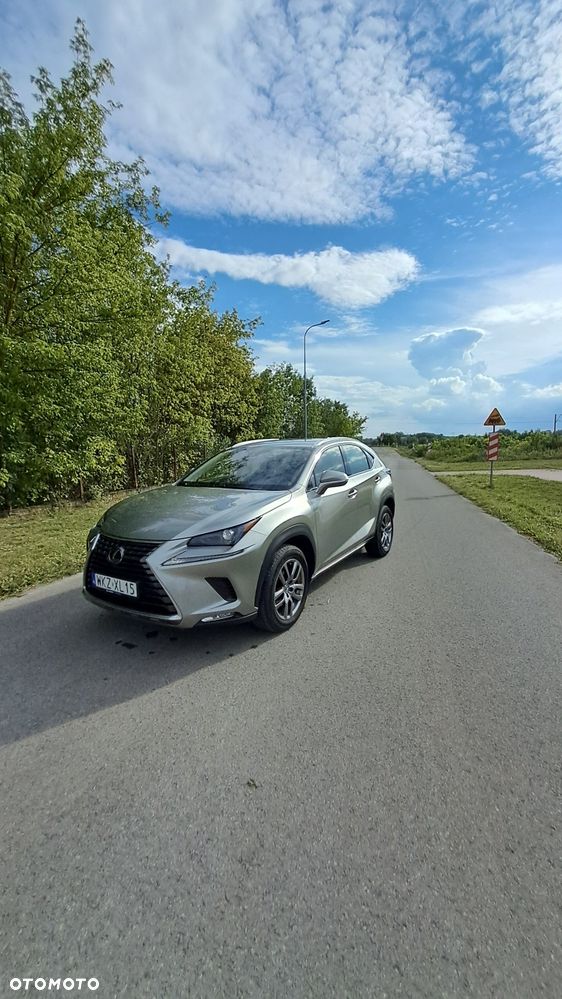 Lexus NX - 1
