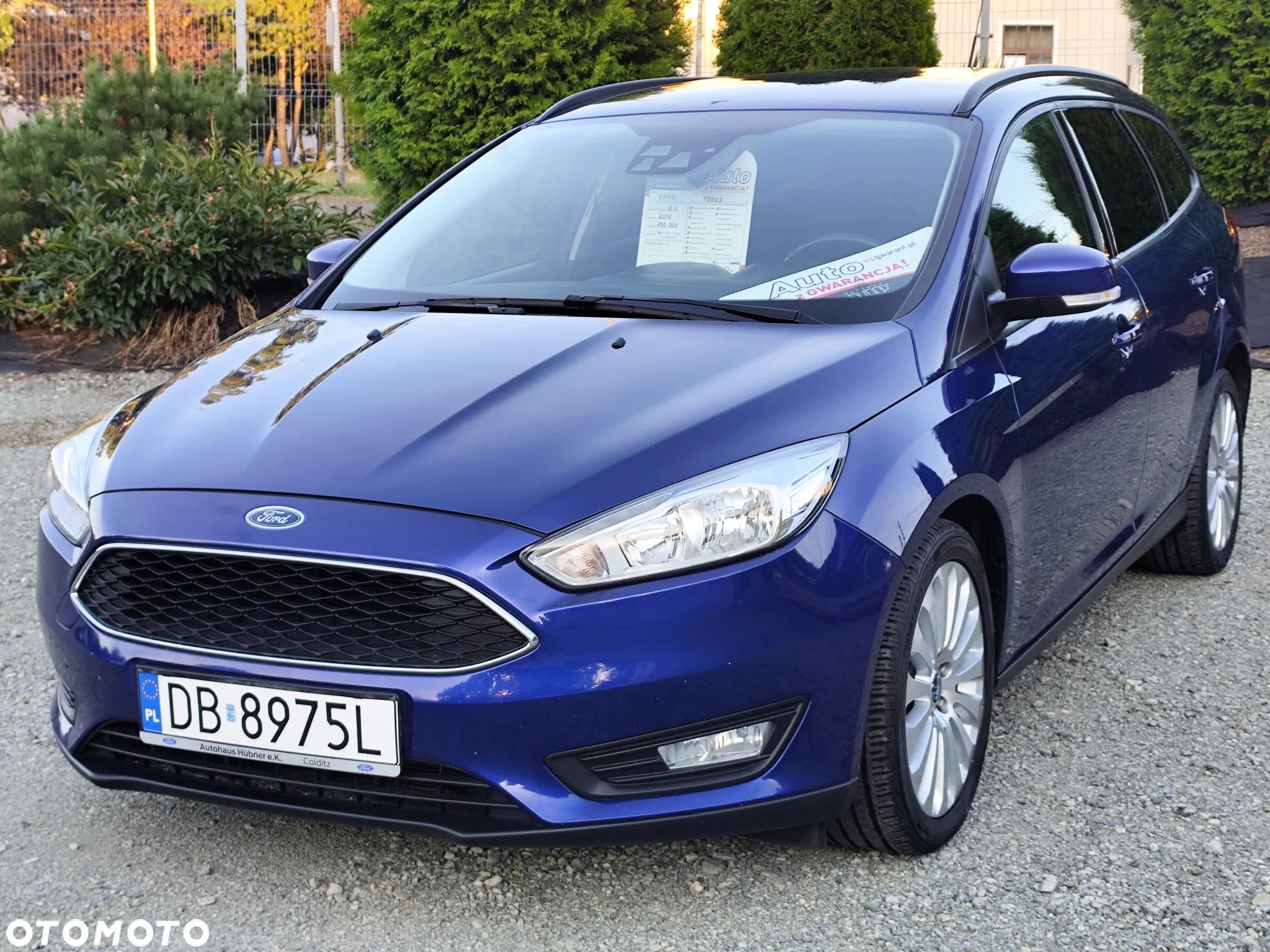 Ford Focus - 1