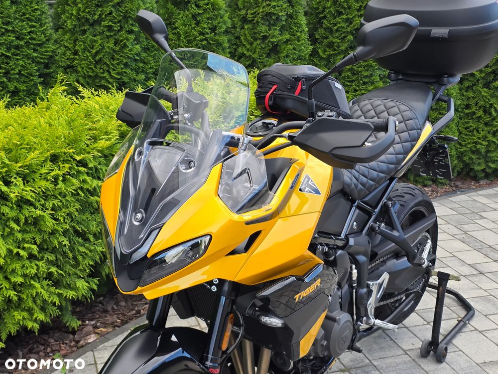 Triumph Tiger - 31