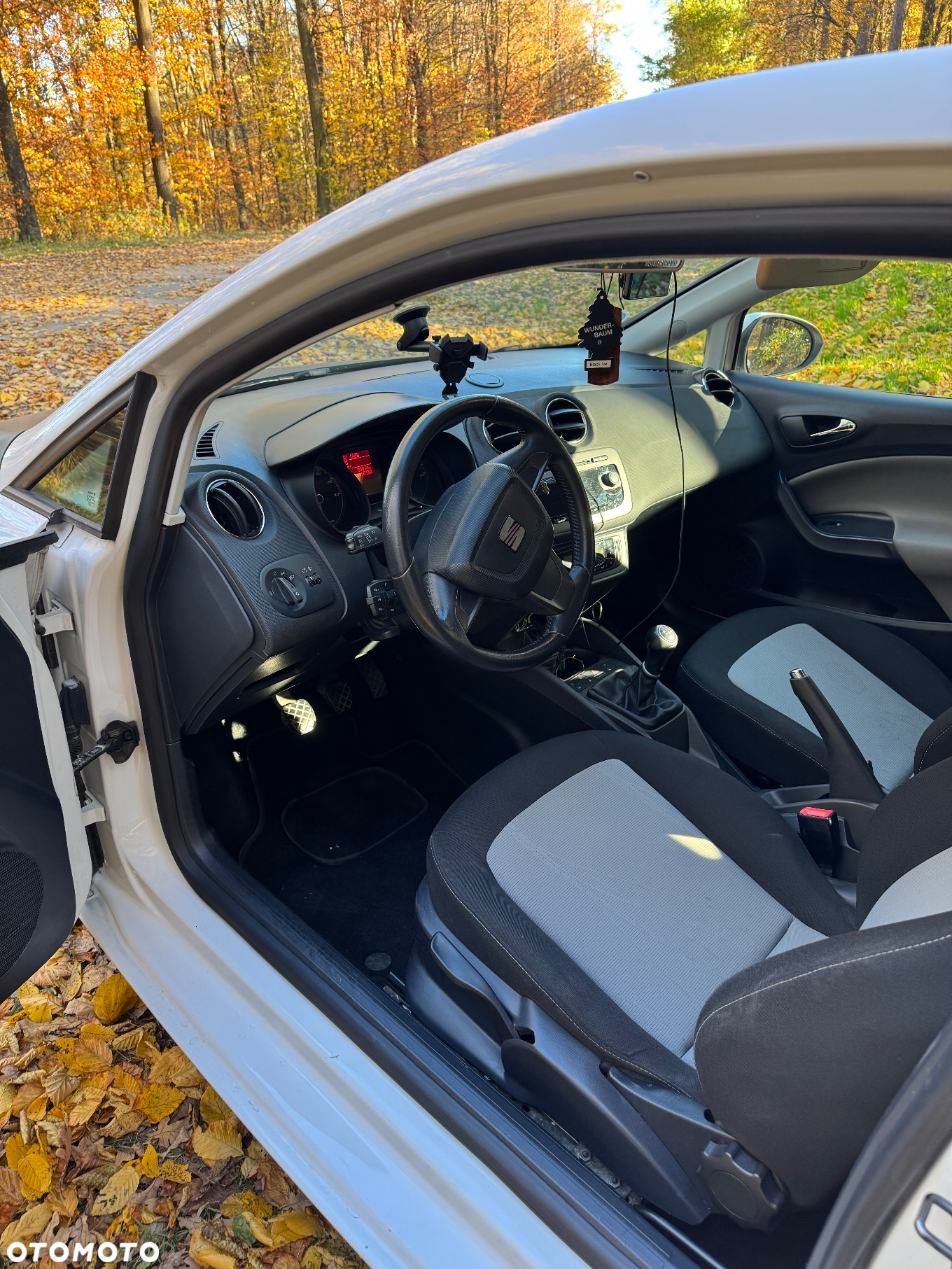Seat Ibiza - 10