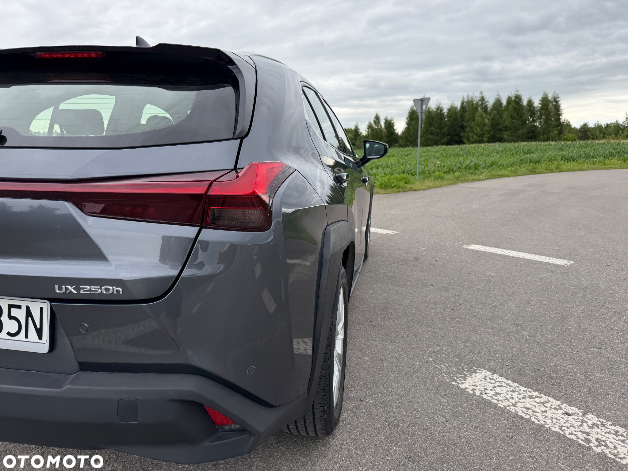 Lexus UX 250h GPF Business 2WD - 17