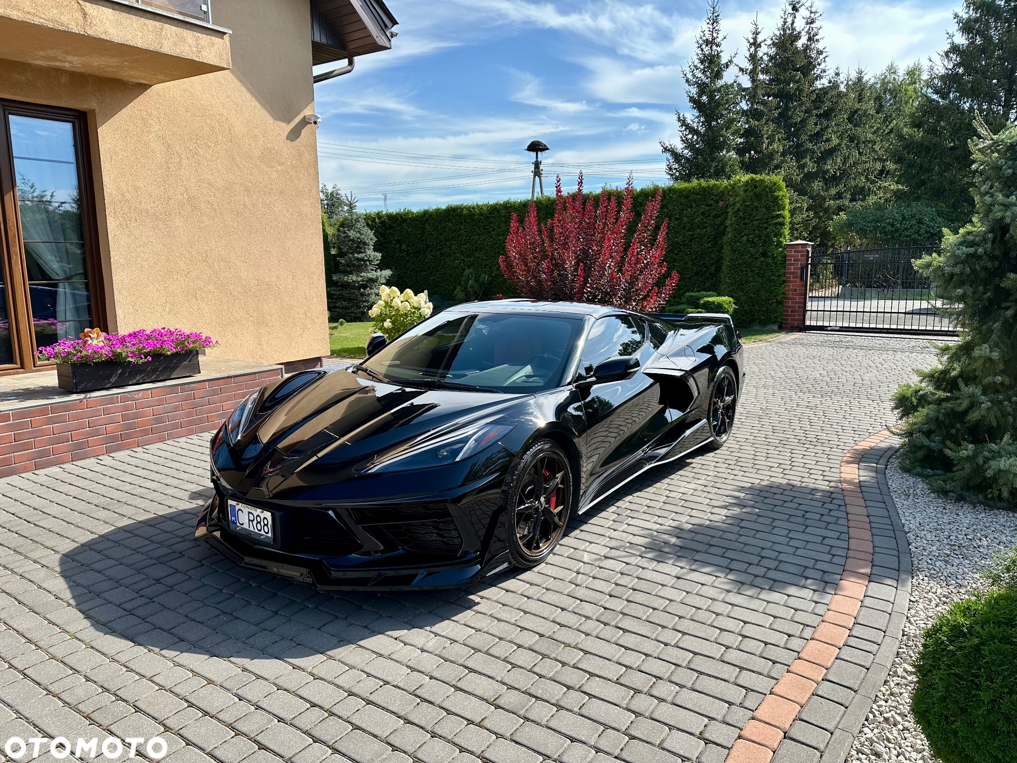 Chevrolet Corvette - 14