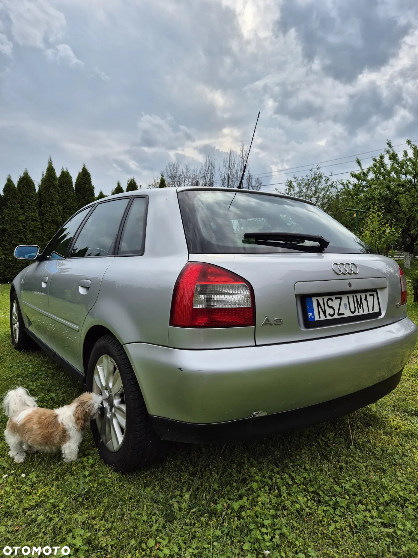 Audi A3 - 5