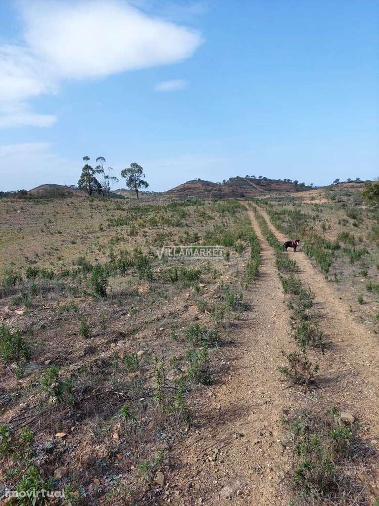 Terreno rústico com 182 250 m2 situado no Concelho de Ourique - Alente - Grande imagem: 3/12