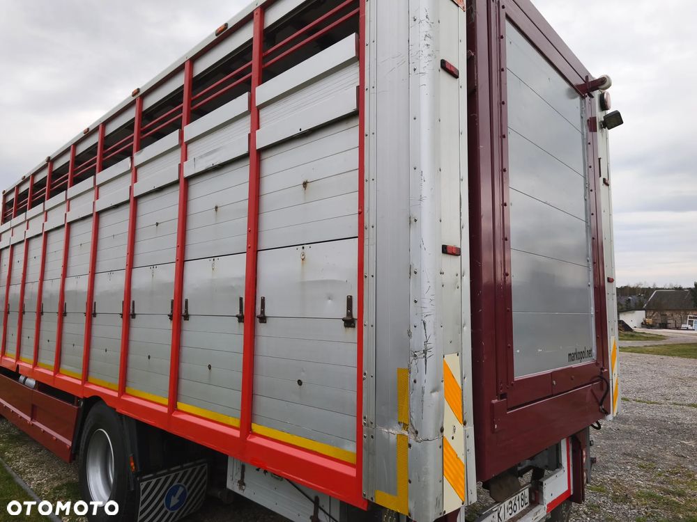 Zabudowa do przewozu Bydła Zwierząt Żywca Waga elektroniczna - 4