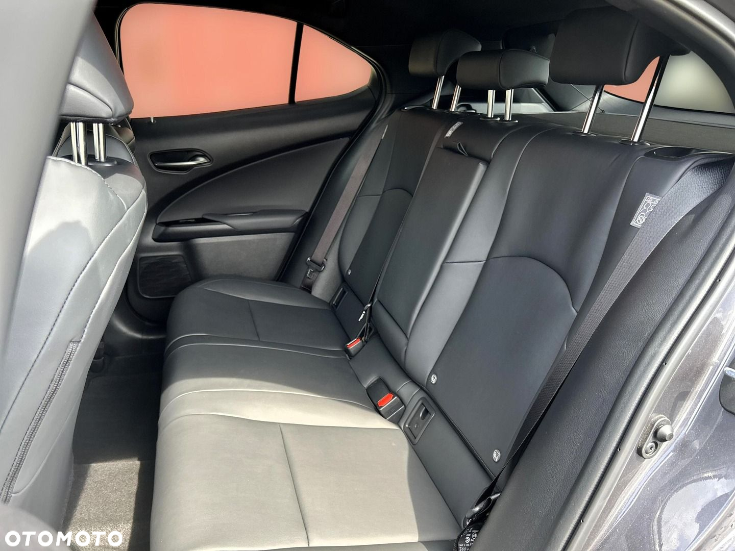 Lexus UX 250h GPF F Sport Design 2WD - 15