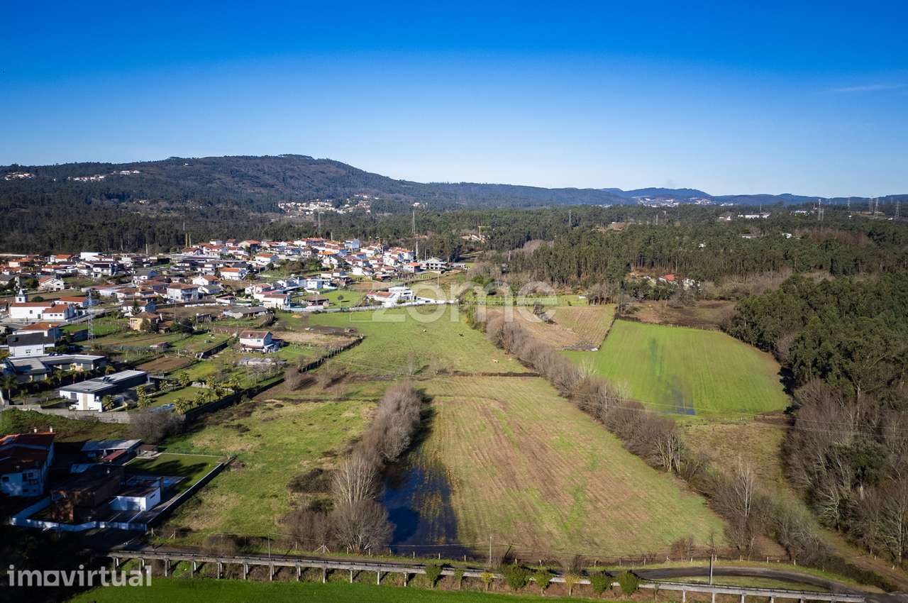 Terreno - Agrícola - Grande imagem: 3/16