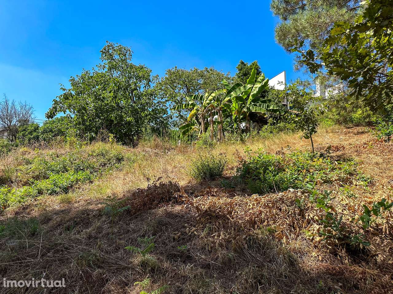 Terreno  Venda em Lufrei,Amarante - Grande imagem: 5/12
