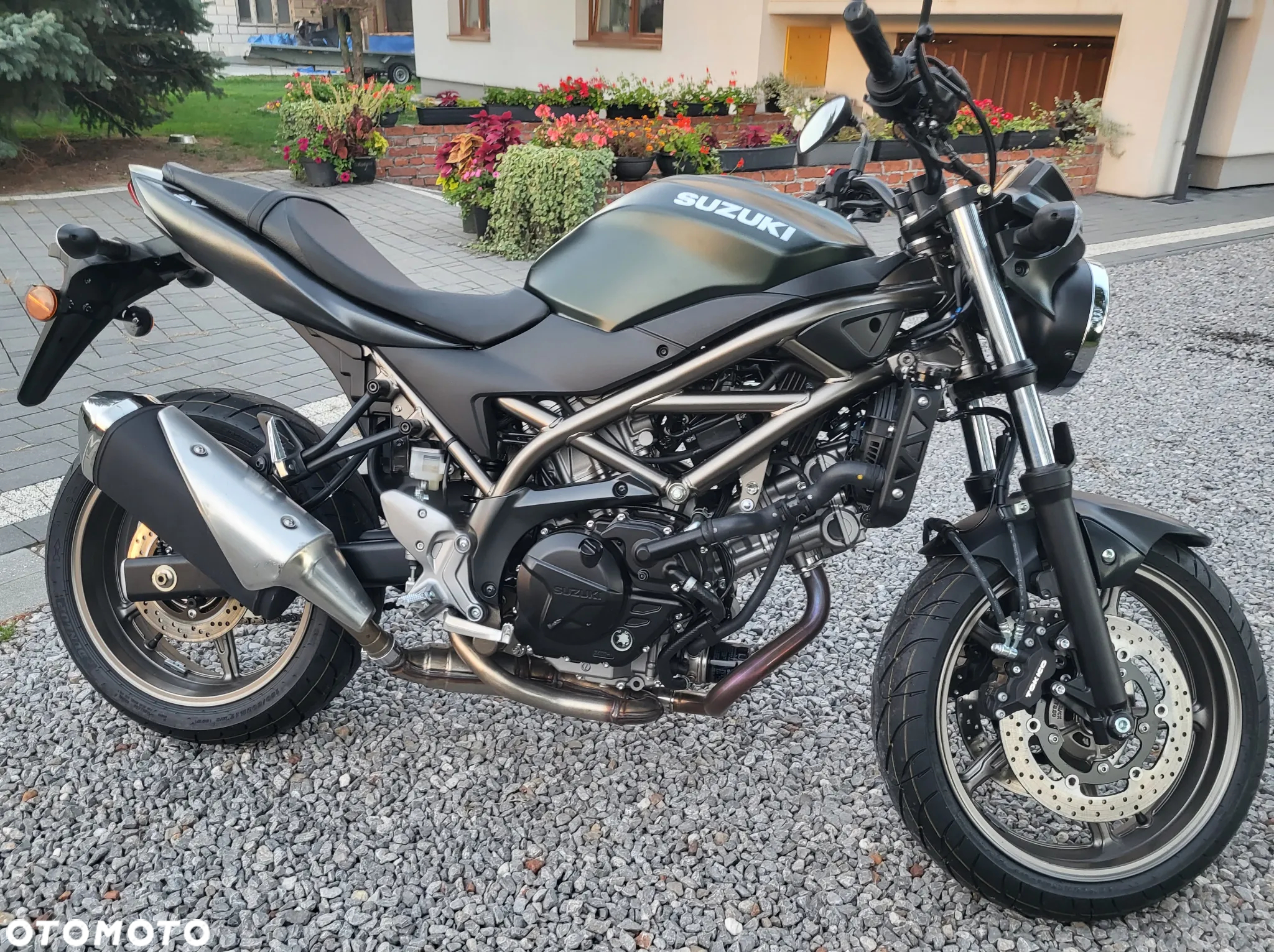 Suzuki SV - 5