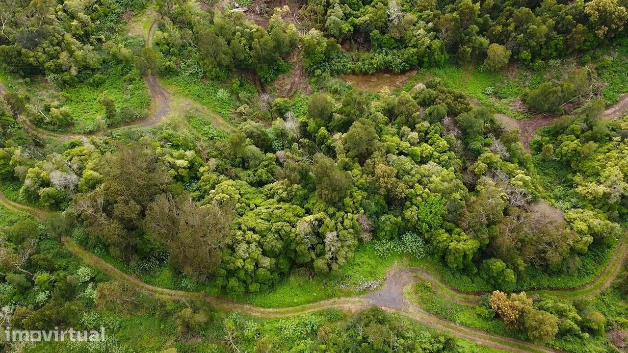 Vende-se terreno com 43.000 m2, localizado na Urzelina, concelho de Ve - Grande imagem: 5/9