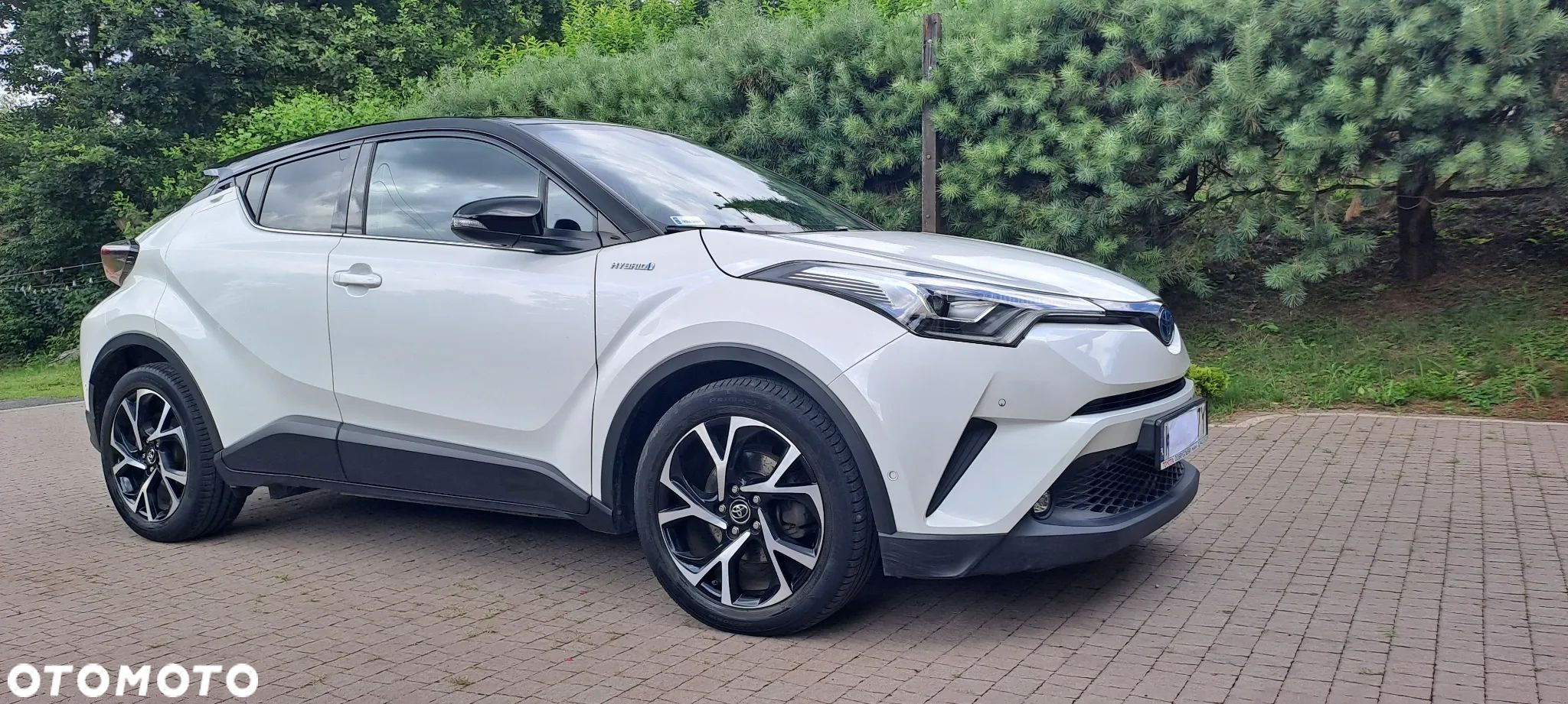 Toyota C-HR 1.8 Hybrid Dynamic - 1