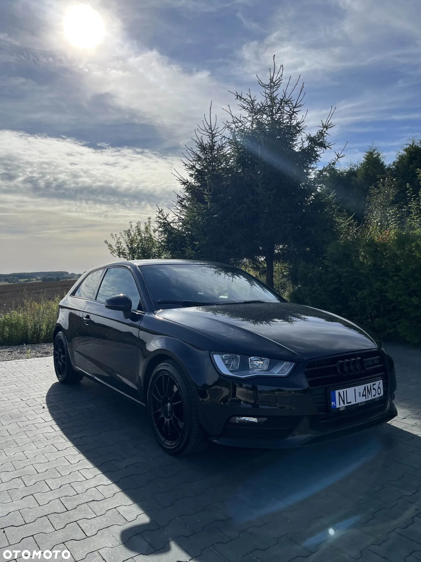 Audi A3 1.6 TDI Ambition - 8